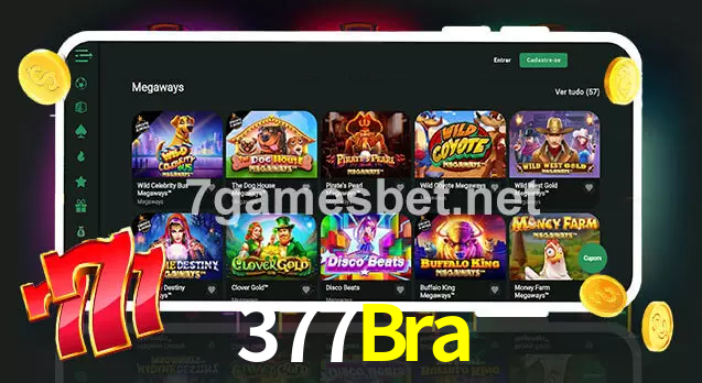 377Bra aplicativo