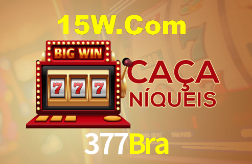377Bra Bet