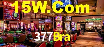 377Bra