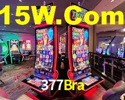 377Bra,377Bra.Com