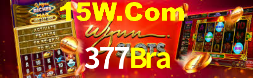 377Bra.Com